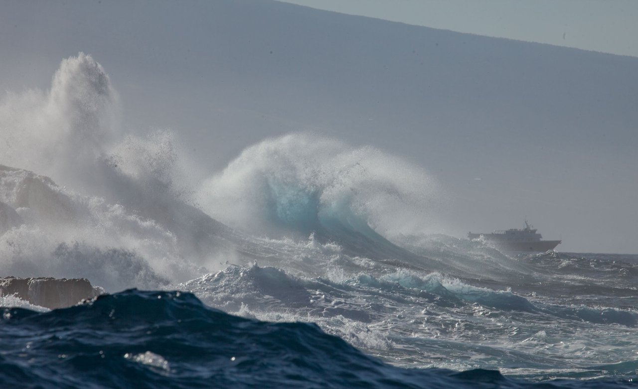 BigIslandWaves (8 of 9).jpg