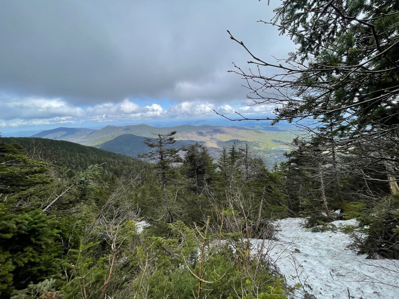 IMG_1716.jpeg