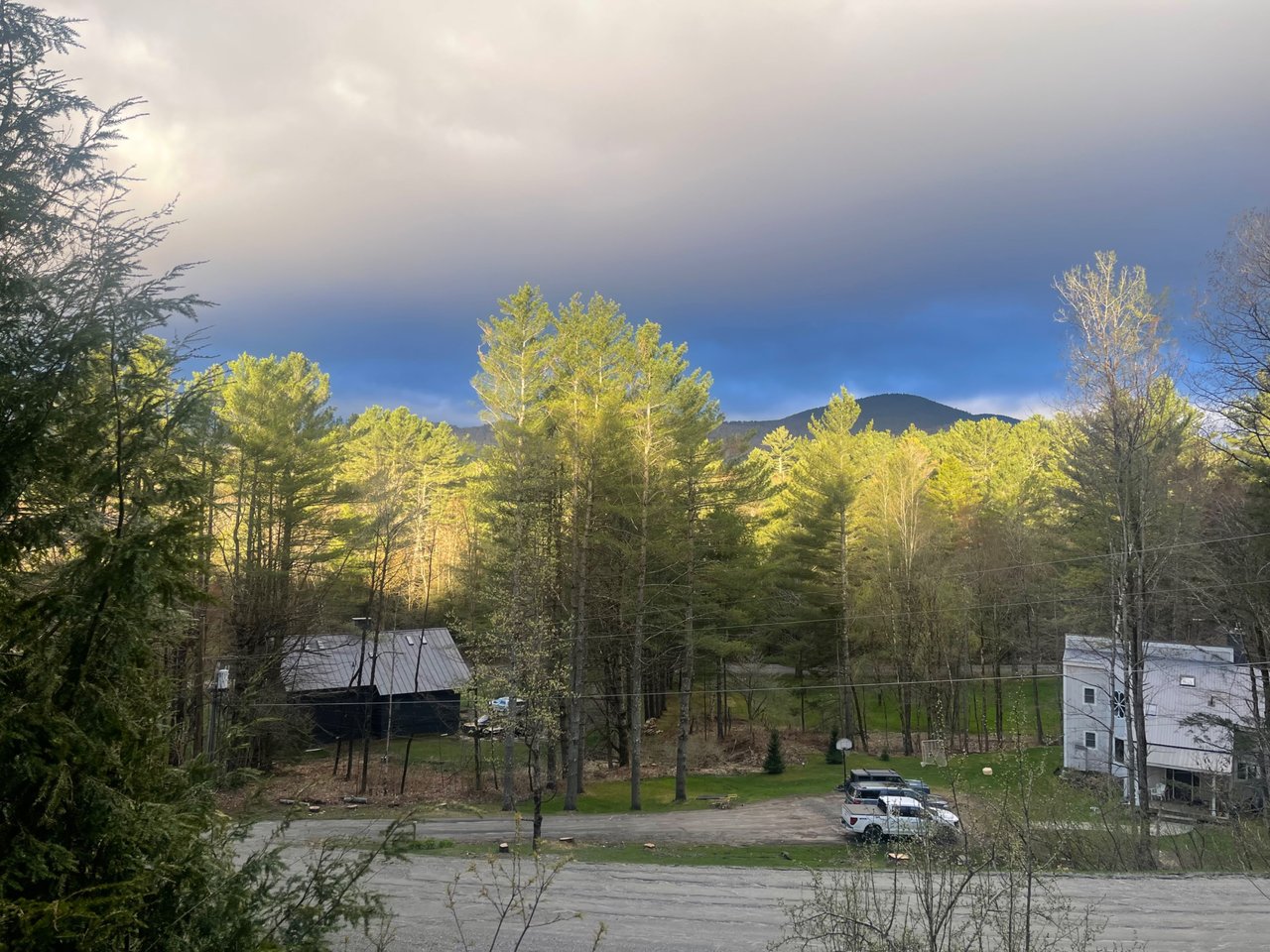 IMG_1472.jpeg