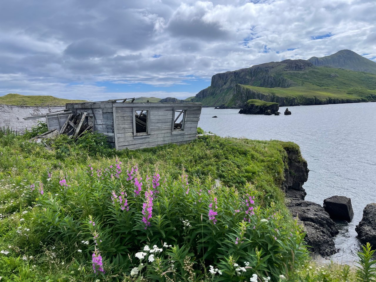 IMG_7040.jpeg