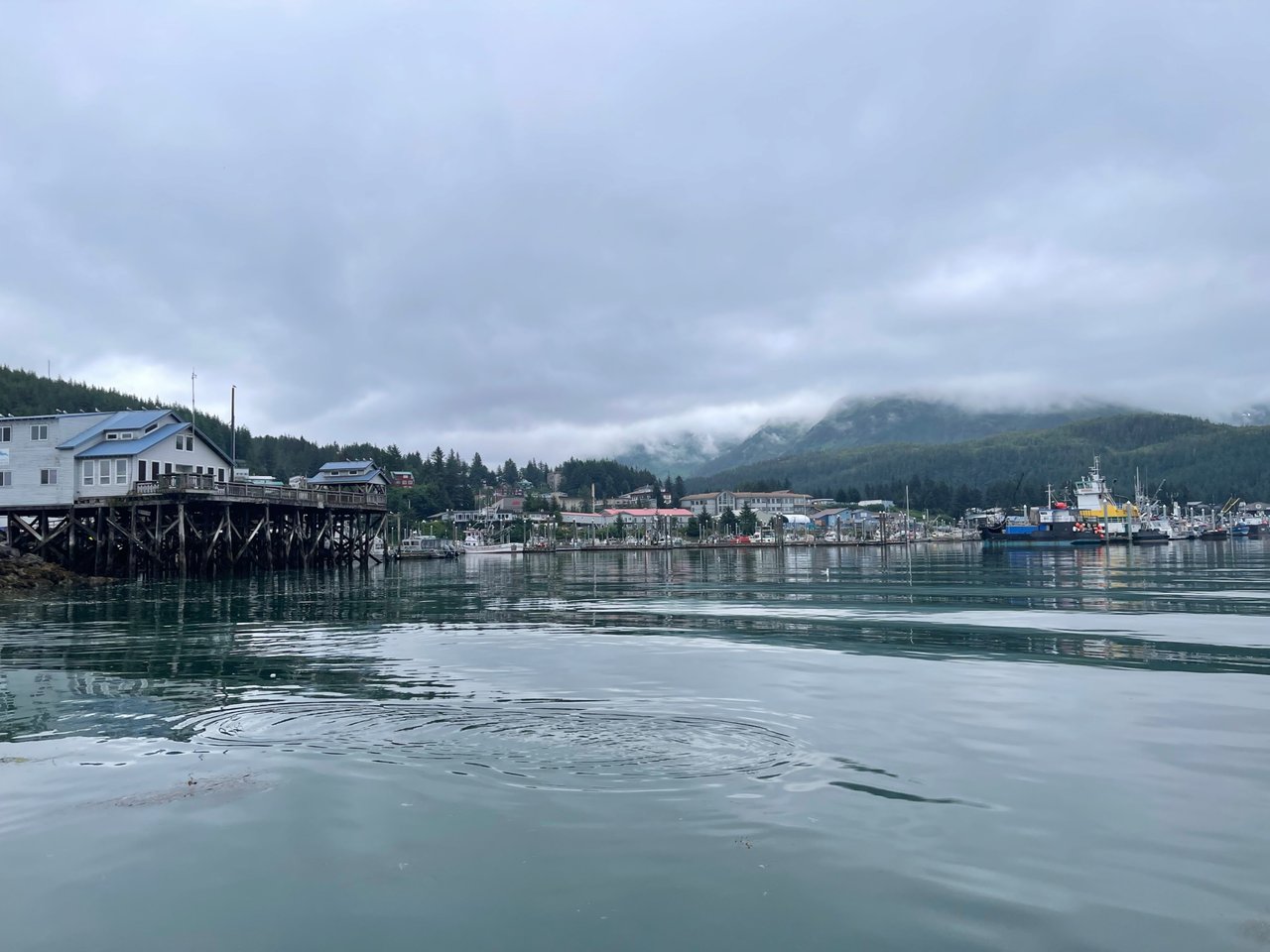 IMG_5191.jpeg