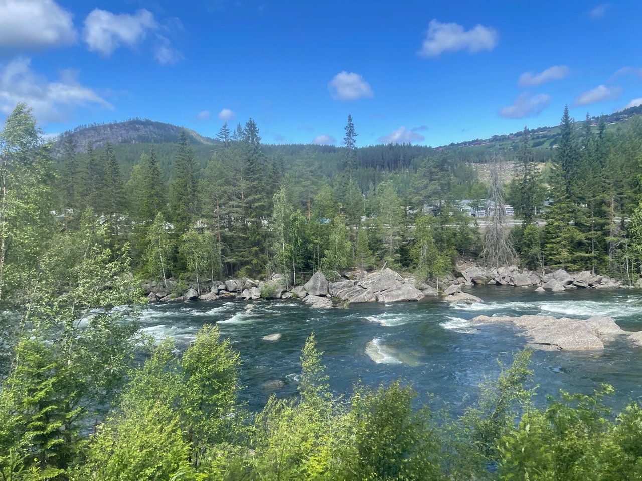 IMG_4432.jpeg