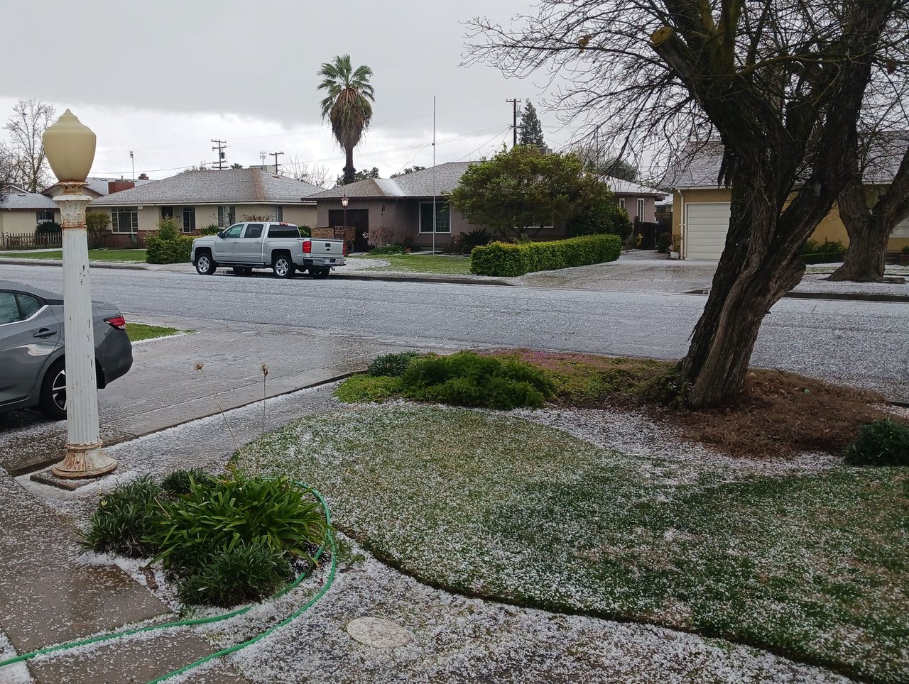 Hail Storm aftermath