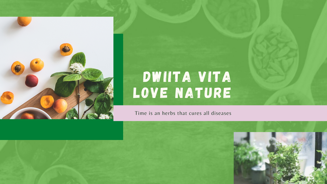 https://files.peakd.com/file/peakd-hive/dwiitavita/8Jtihv17-Dwiita20Vita20love20Nature.png