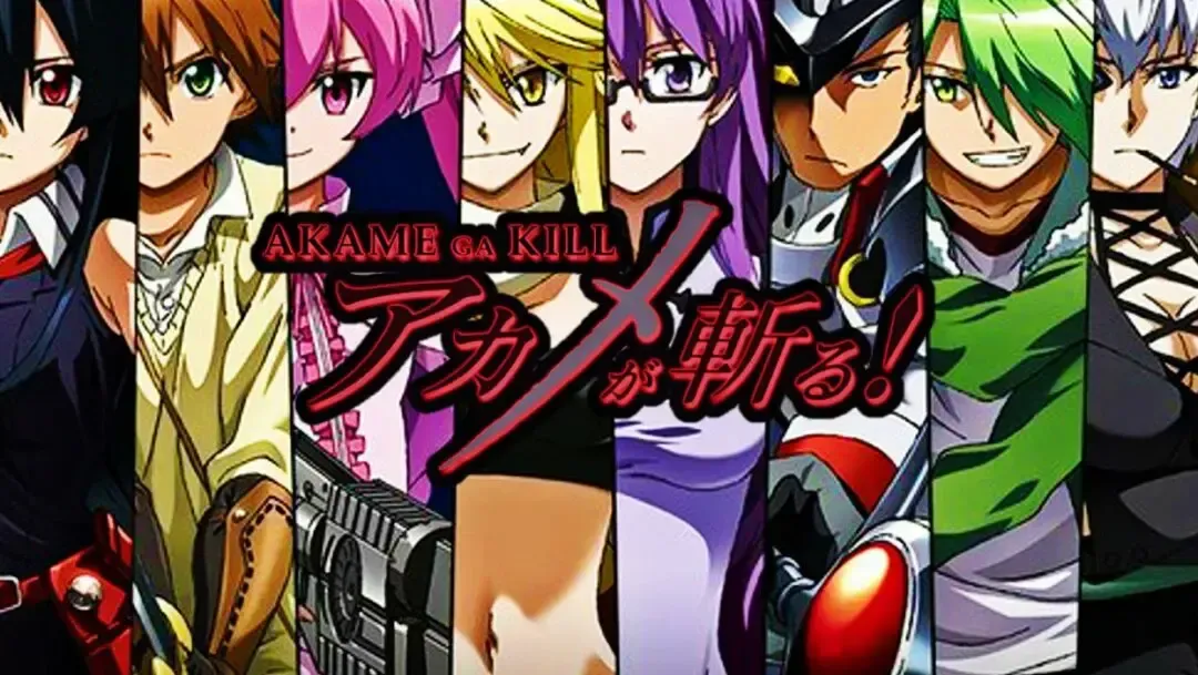 Who is The Real Main Character of Akame Ga Kill Anime 