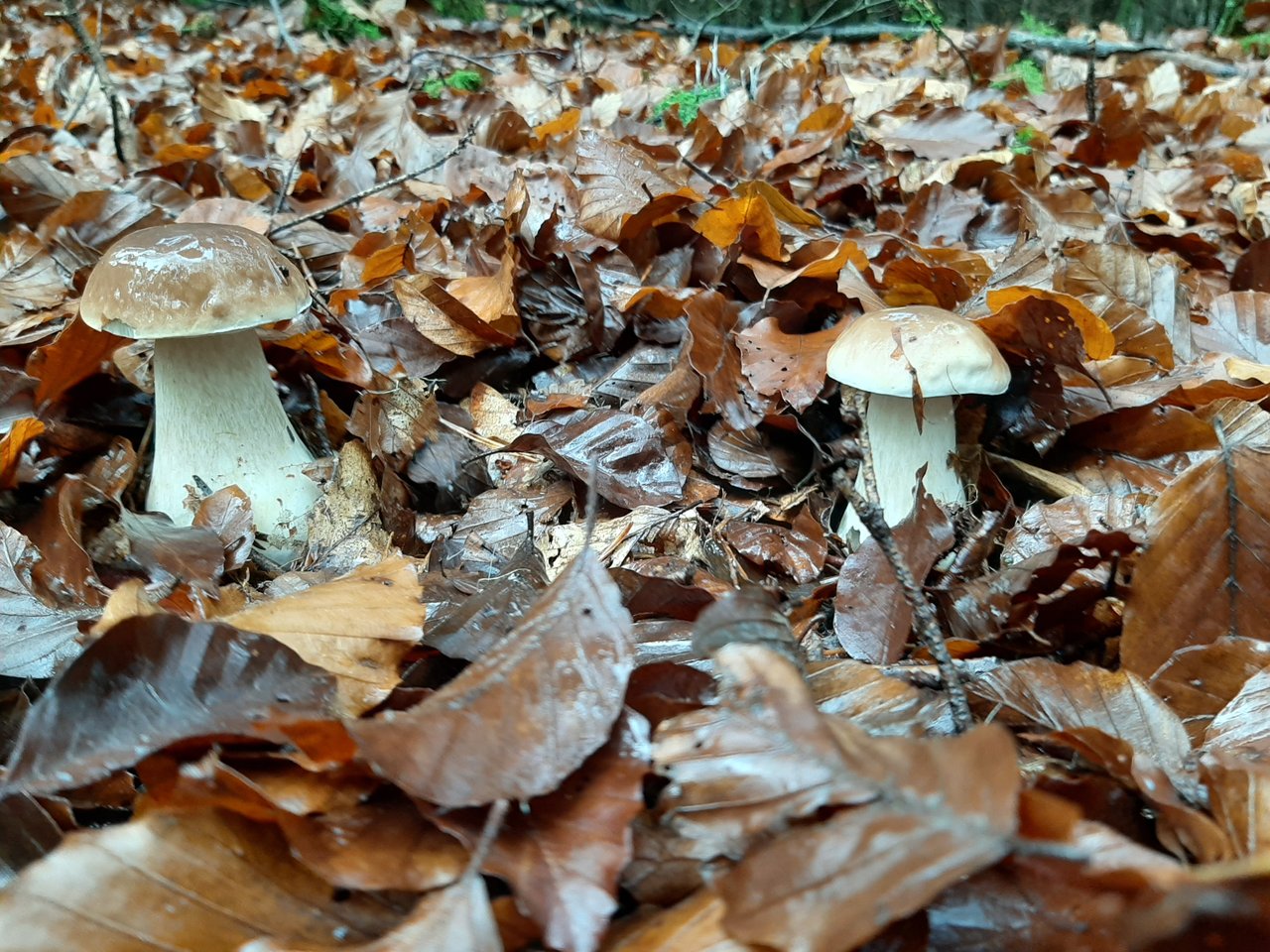 20191102_132521.jpg