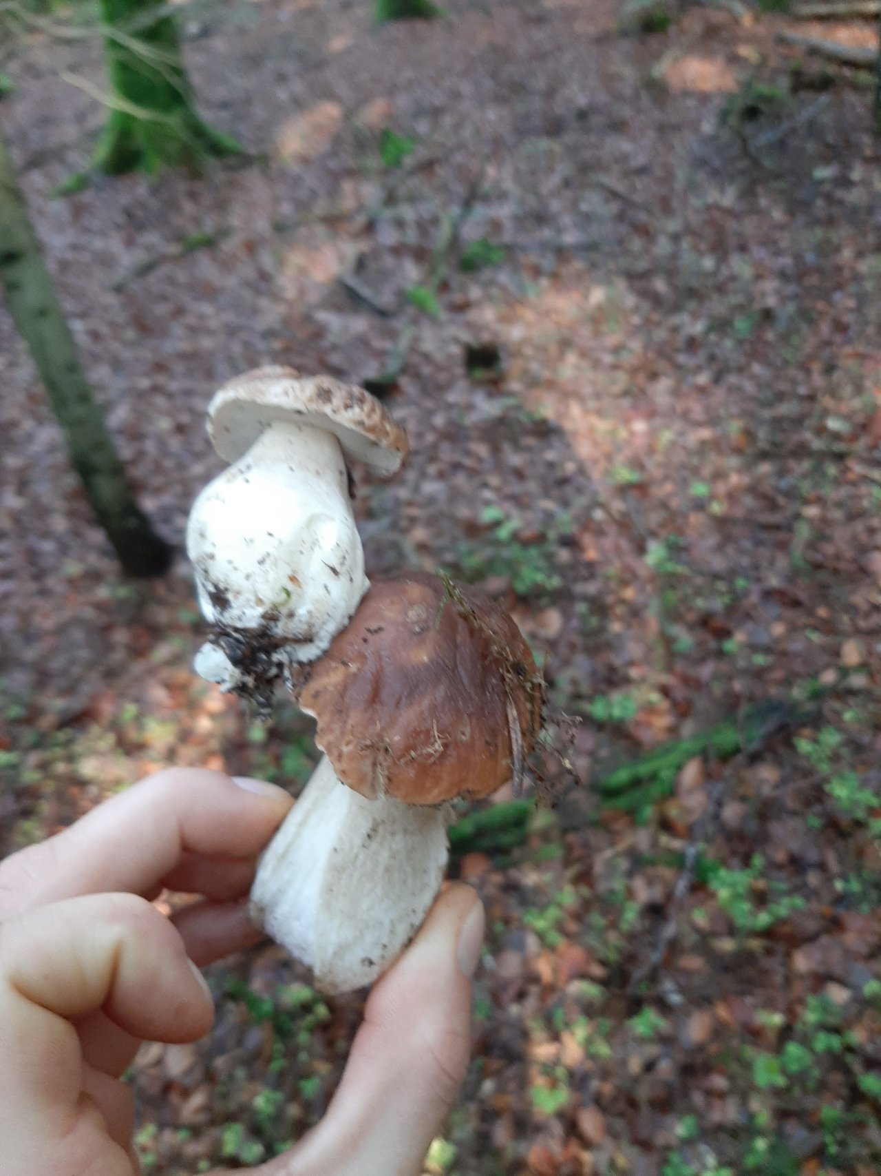 20191020_150439.jpg
