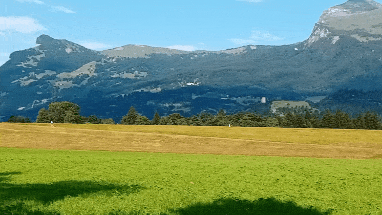 GIF_20250731_080144_506.gif