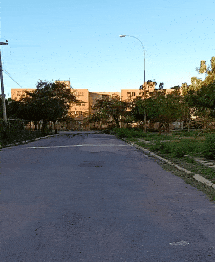 20231115_052259.gif
