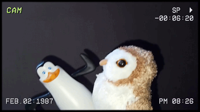 1.gif