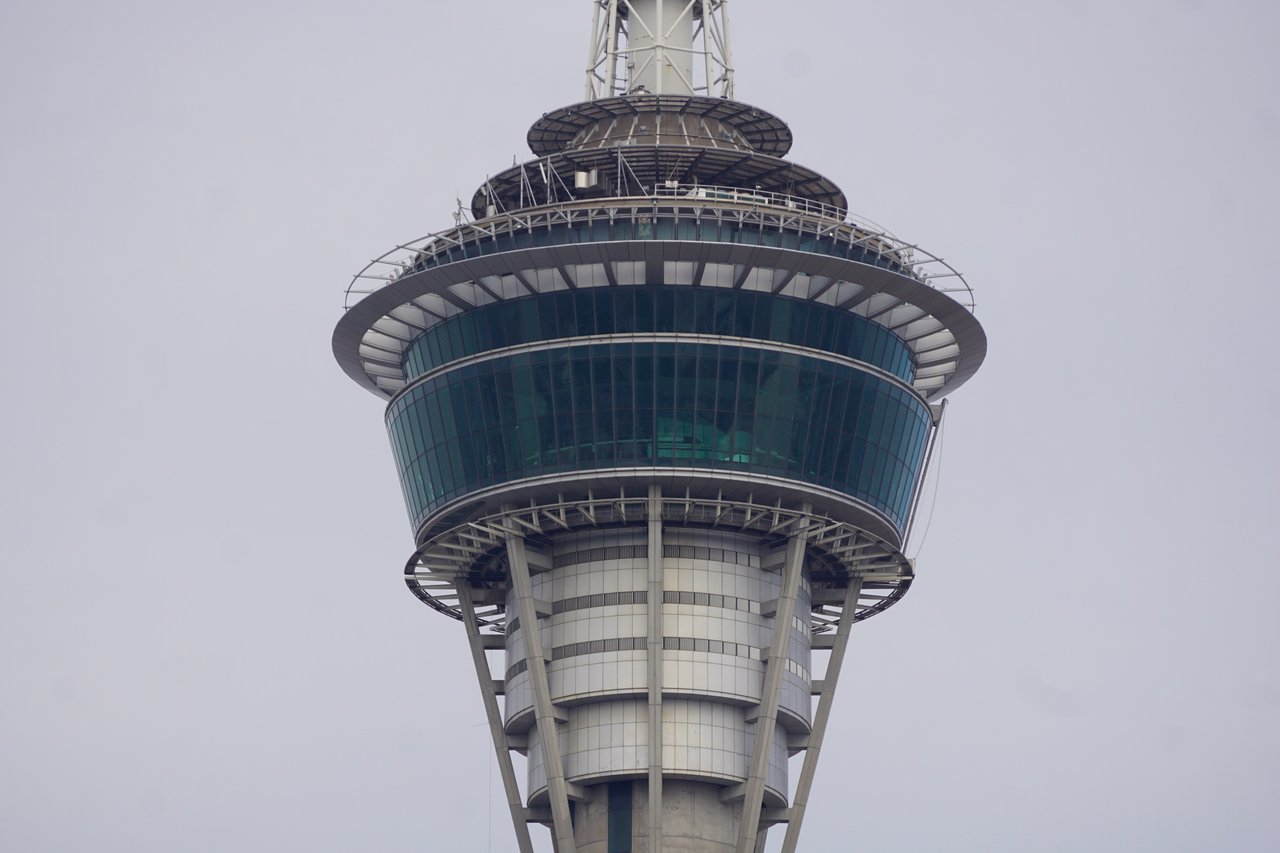 https://files.peakd.com/file/peakd-hive/elevator09/241tdW6B2rfko7dbrCeB8HWps63X3WDwGTEHUTtTN2RFcoQ6LercfZCfYjkKiYkvLi8nC.JPG