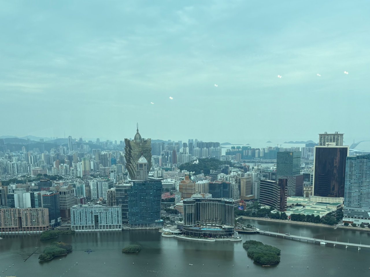 https://files.peakd.com/file/peakd-hive/elevator09/EqYsjeGYArtWo1hjE8HZhumCTPbvX4za9STyhrxCeYwPJWLssZyRFgfJ8eDToXu9jRU.jpeg
