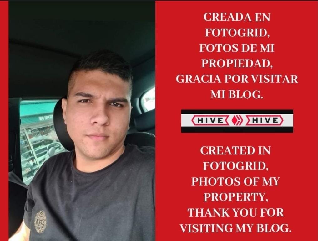 https://files.peakd.com/file/peakd-hive/eliroldan/23wCHzz44YFzEWoSSnhYpndFfLCB5rcwRvdToEZKeiV3o7u7RHGNnoTvnP9FX4RGtxEpL.jpg