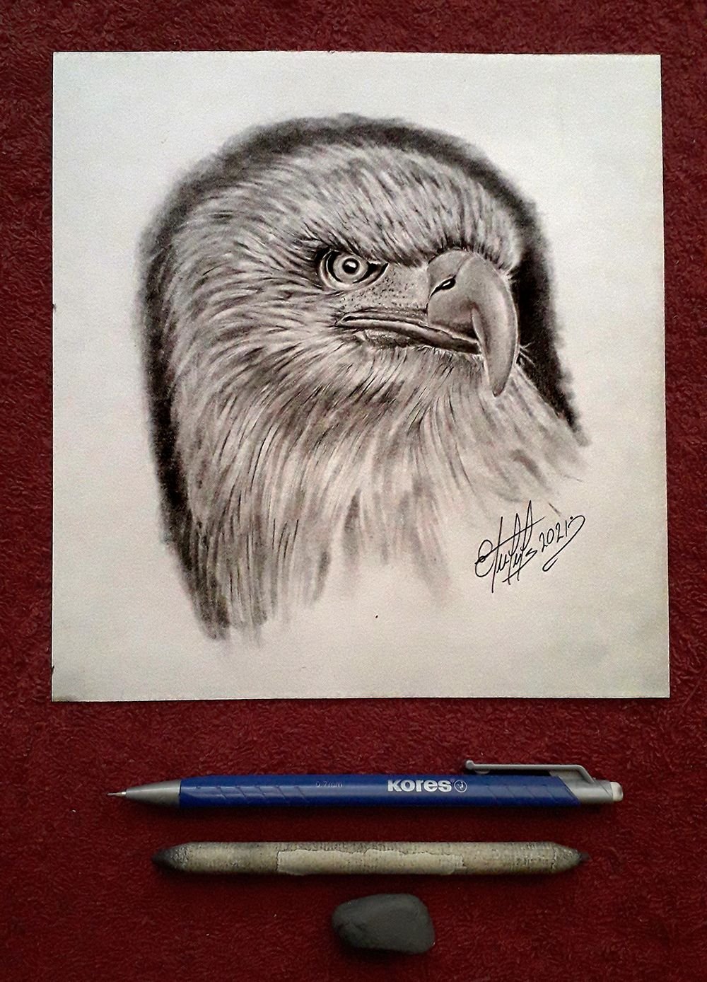 Drawing an Eagle. Drawing made with graphite... Dibujando un Águila. Dibujo  hecho con grafito. | PeakD