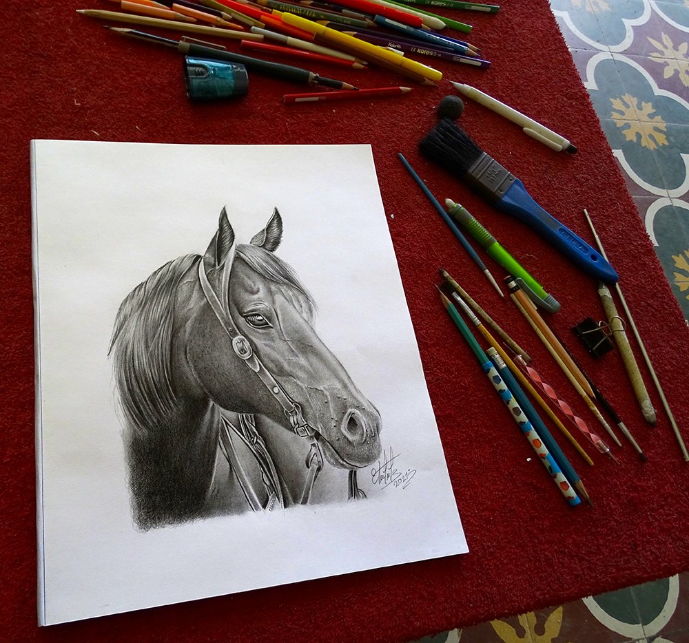 Realistic drawing with the graphite pencil technique. **Horse**.. Dibujo  realista con la técnica del lápiz de grafito. **Caballo** | PeakD