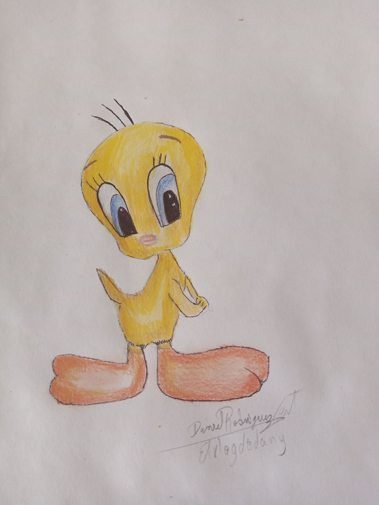 Piolin Baby