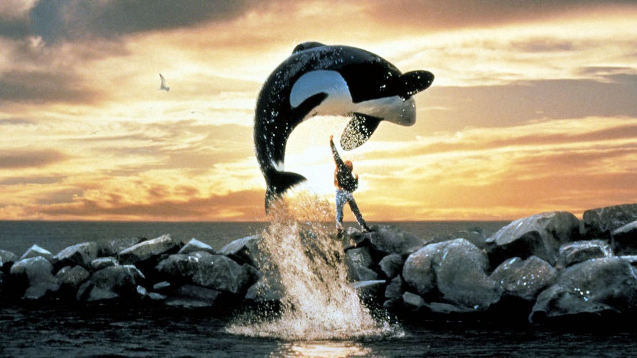 orca status.jpg