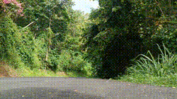 1002128933.gif