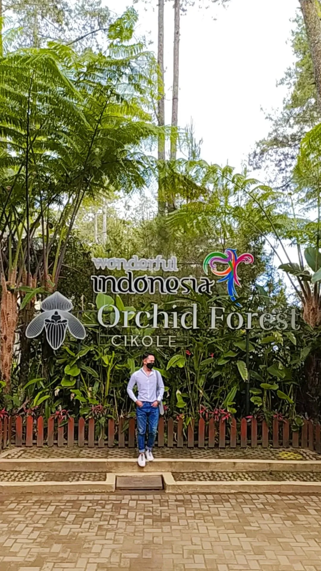 Orchid forest cikole review