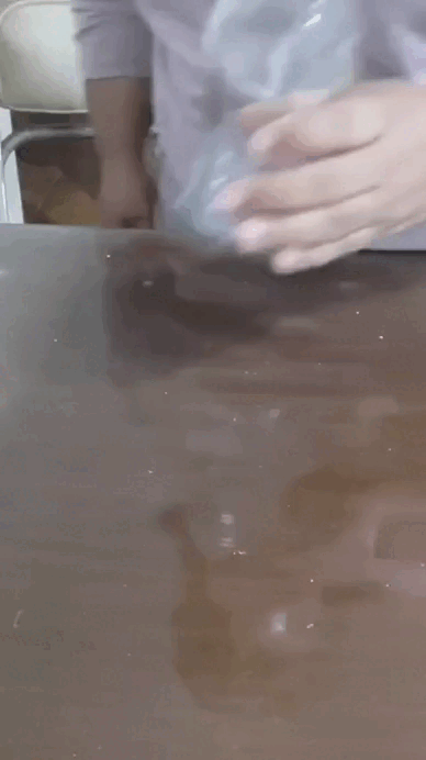 gif4.gif