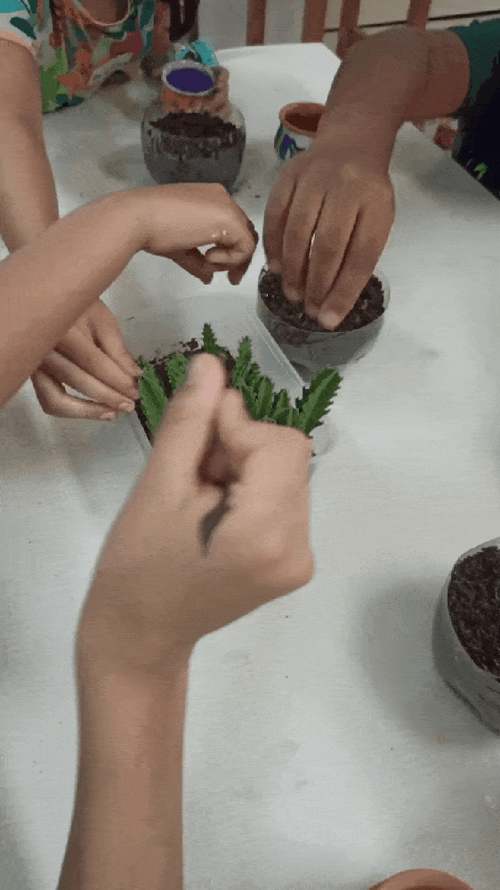 GIF-250317_222524.gif