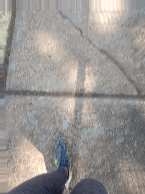 IMG_20240222_095927212__exported_stabilized_1708778230957.gif