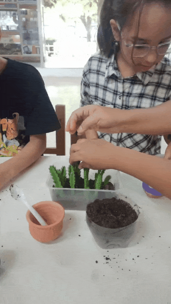 GIF-250317_222356.gif