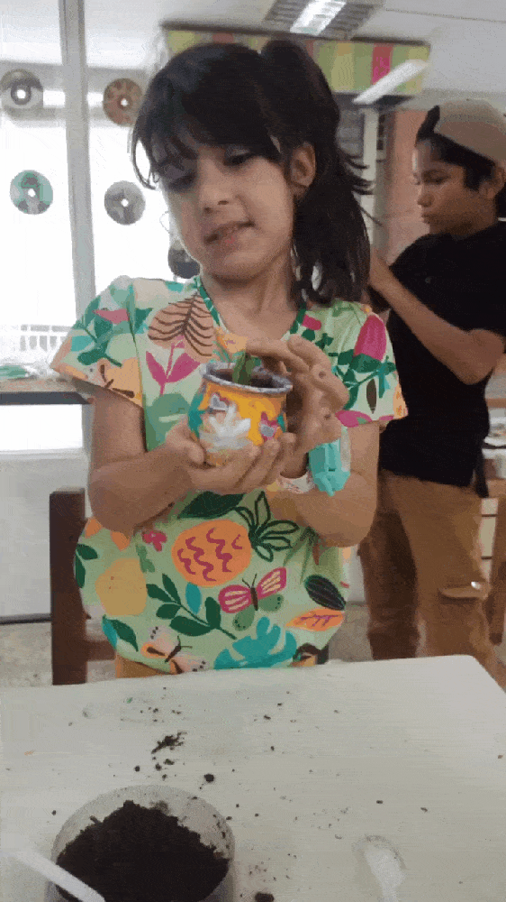GIF-250317_222001.gif