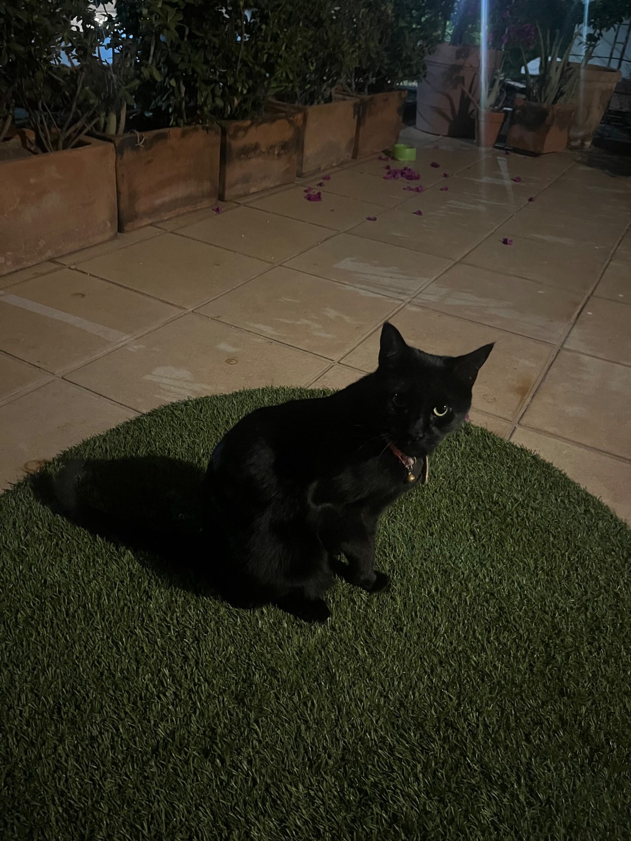 Luna