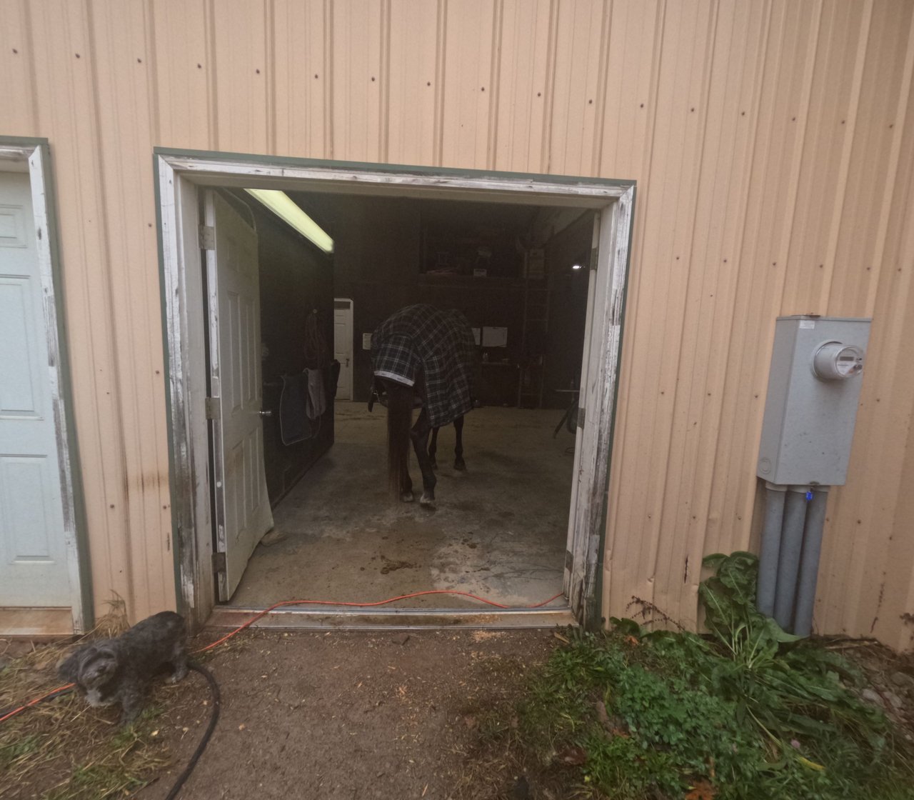 https://files.peakd.com/file/peakd-hive/farrier.services/23zS1P484sZ6kPK1eFfgurBUw2UB8ycnSEyLZwSpEUyW4V5Q9rtDTnvAeJy4hZwuSGXrg.JPG