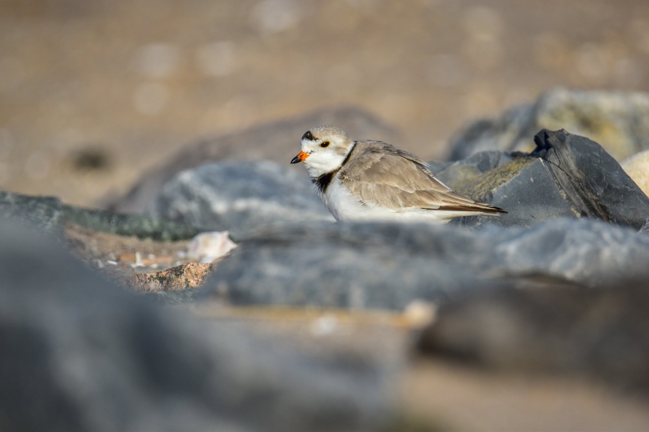 DSC_8670.jpg