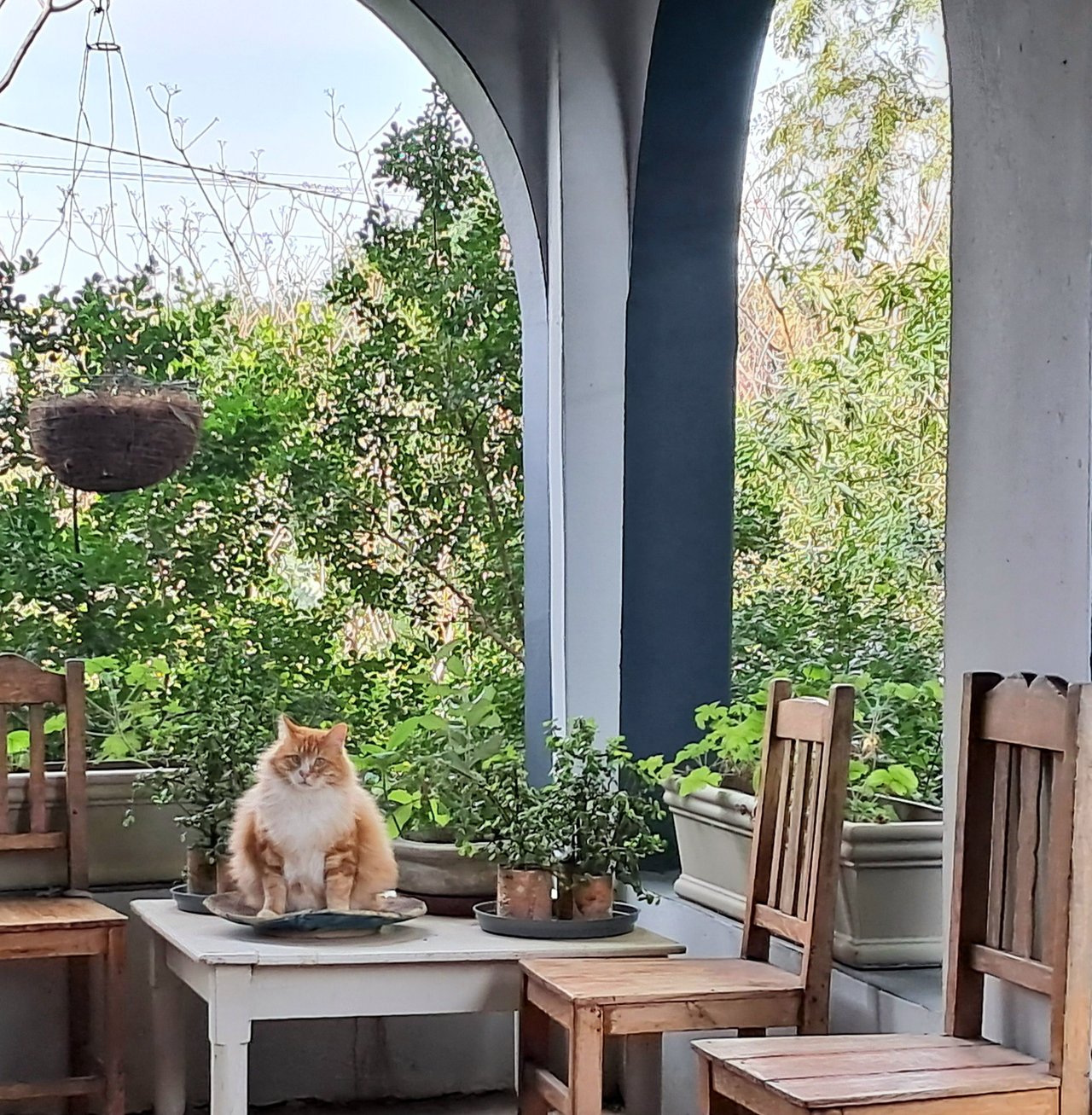 "Squatting" at the "Cat House"