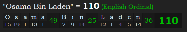 p8x1SxqY-11020Osama20Bin20Laden.PNG