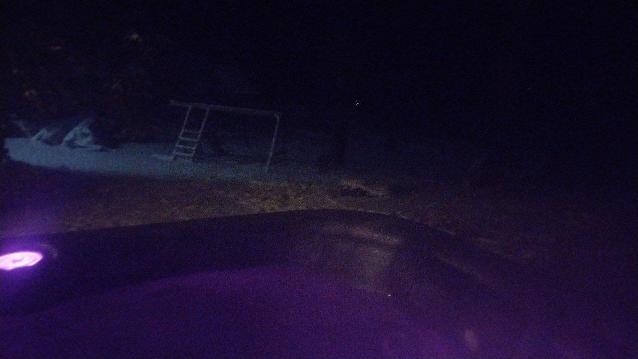https://files.peakd.com/file/peakd-hive/flemingfarm/23t732ZMR5kSTTbJ7x93FBzsDgJEoNoCGxqqLw1bdLovzDxNvVE3hvB1h4UvsdbAKtmpj.jpg