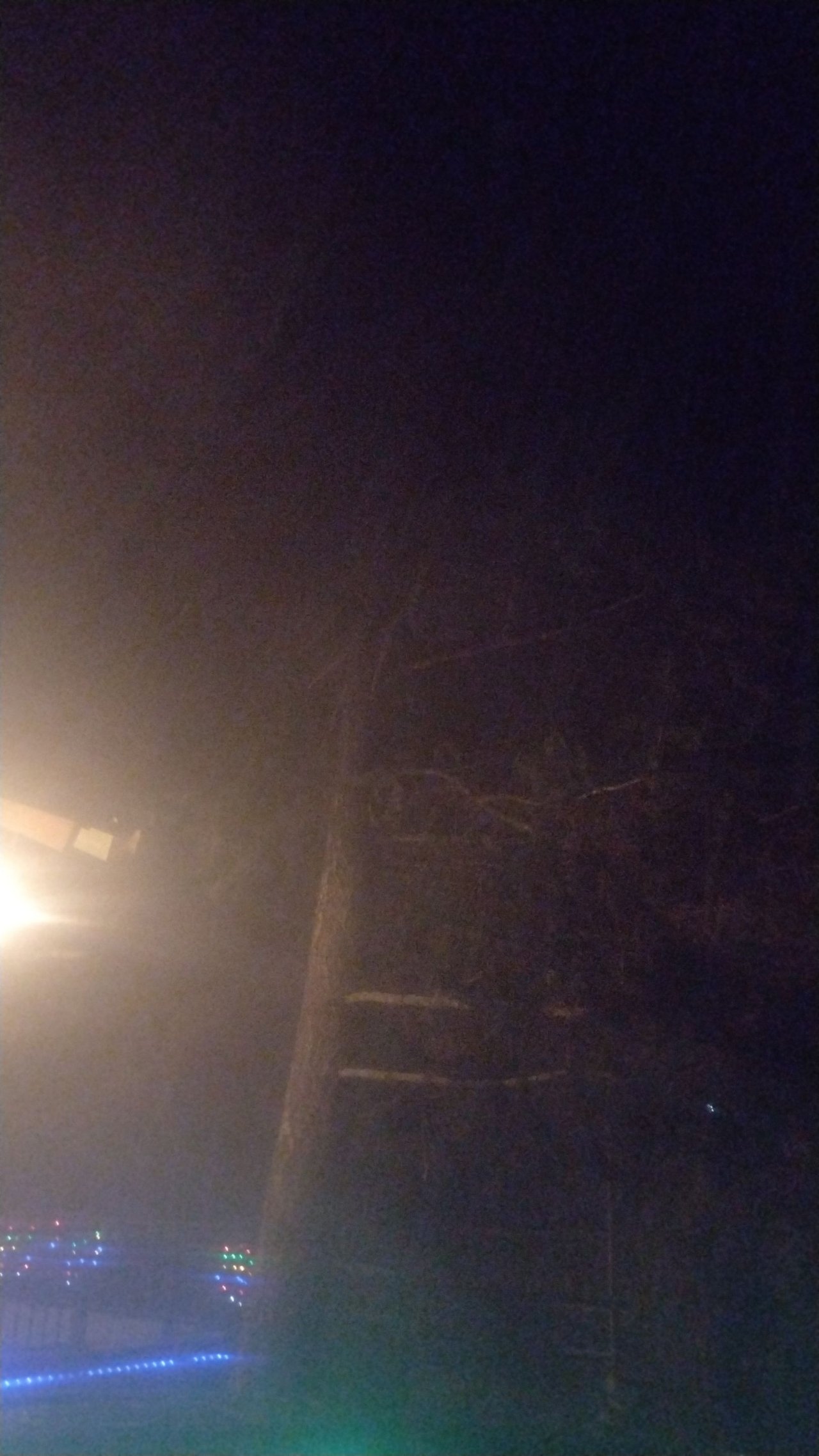https://files.peakd.com/file/peakd-hive/flemingfarm/23wBdz9b3jQsRTHgZsJ2BjN3Hn736sMpLv1iDDGzndQwcHaDDhZ9oGByC447yXSCwgp13.jpg