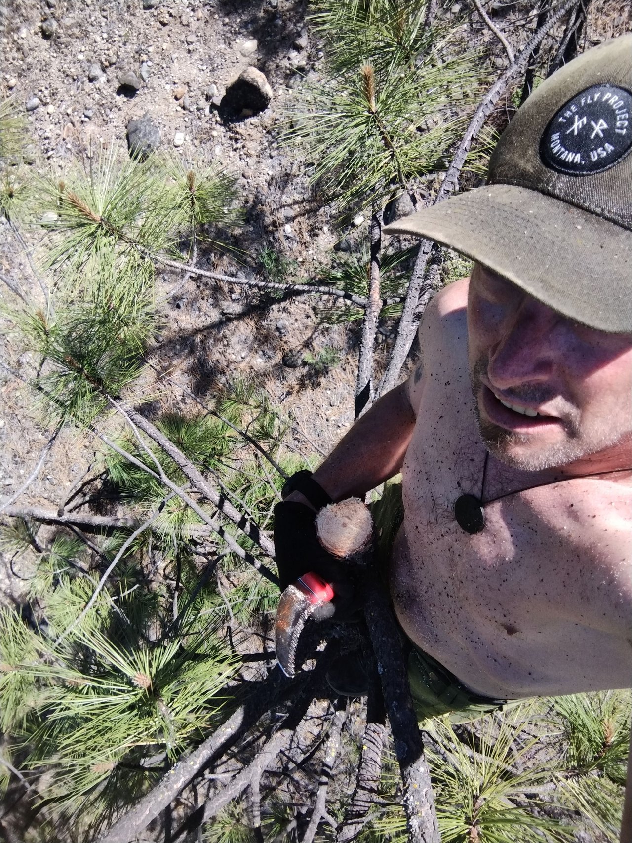 The Collapse, Dr, Bush Whacking, Launch Clearing, Tree Climbing Topping, Eagle Soaring, Hot, 4 Hikes - Wednesday