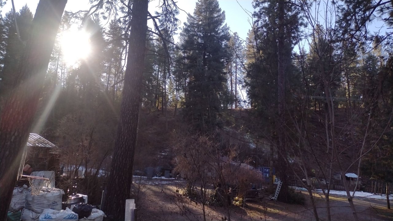 https://files.peakd.com/file/peakd-hive/flemingfarm/23z75KjVJt84yQZQ4uAg7Tbc5rix9ZAxXQaowuSbwpbHxKTtdJPatUTL3ZVK5Xuj1Z867.jpg