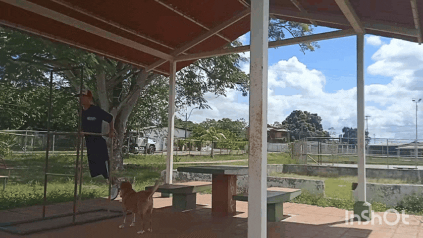 InShot_20250113_210805218.gif