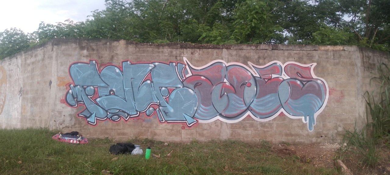 https://files.peakd.com/file/peakd-hive/fonestreet/Eou8knuoehQz4sVTCwTPHWq626nH12uDEh2NWfqrq3qGXnddua19jvdfzSLmTE1mNfe.jpg