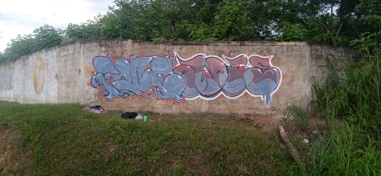 https://files.peakd.com/file/peakd-hive/fonestreet/Ep5kkS6qmP5K81hfoLZDr19reR2TdrZWhgyGboEVpshNWn9dC6y4S62U6Hzz5zPHrix.jpg