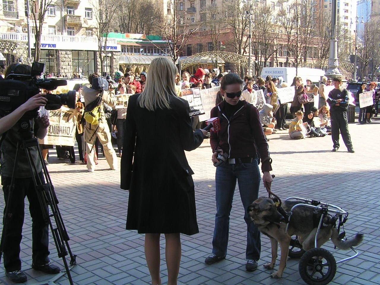 Animals mean a lot to us, not only our job but our lives dedicated to them --Ilona Krylova.