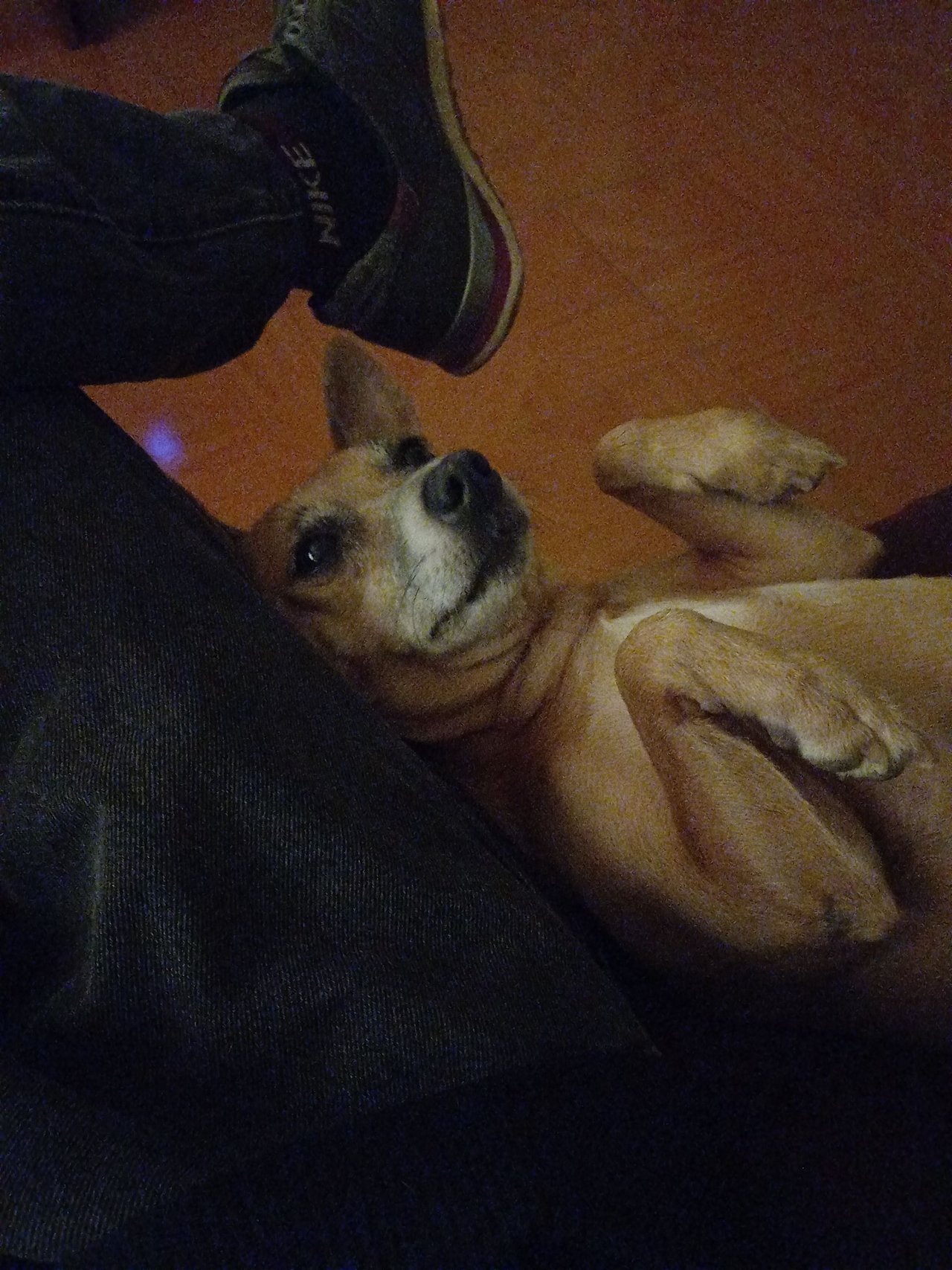 23tkk3R6di4zcgd7CVQ4iCCjTnPx4B9nkiDtNx2AApV4vPpQxyJvu1RRqugDiJHJu1PgR.jpg