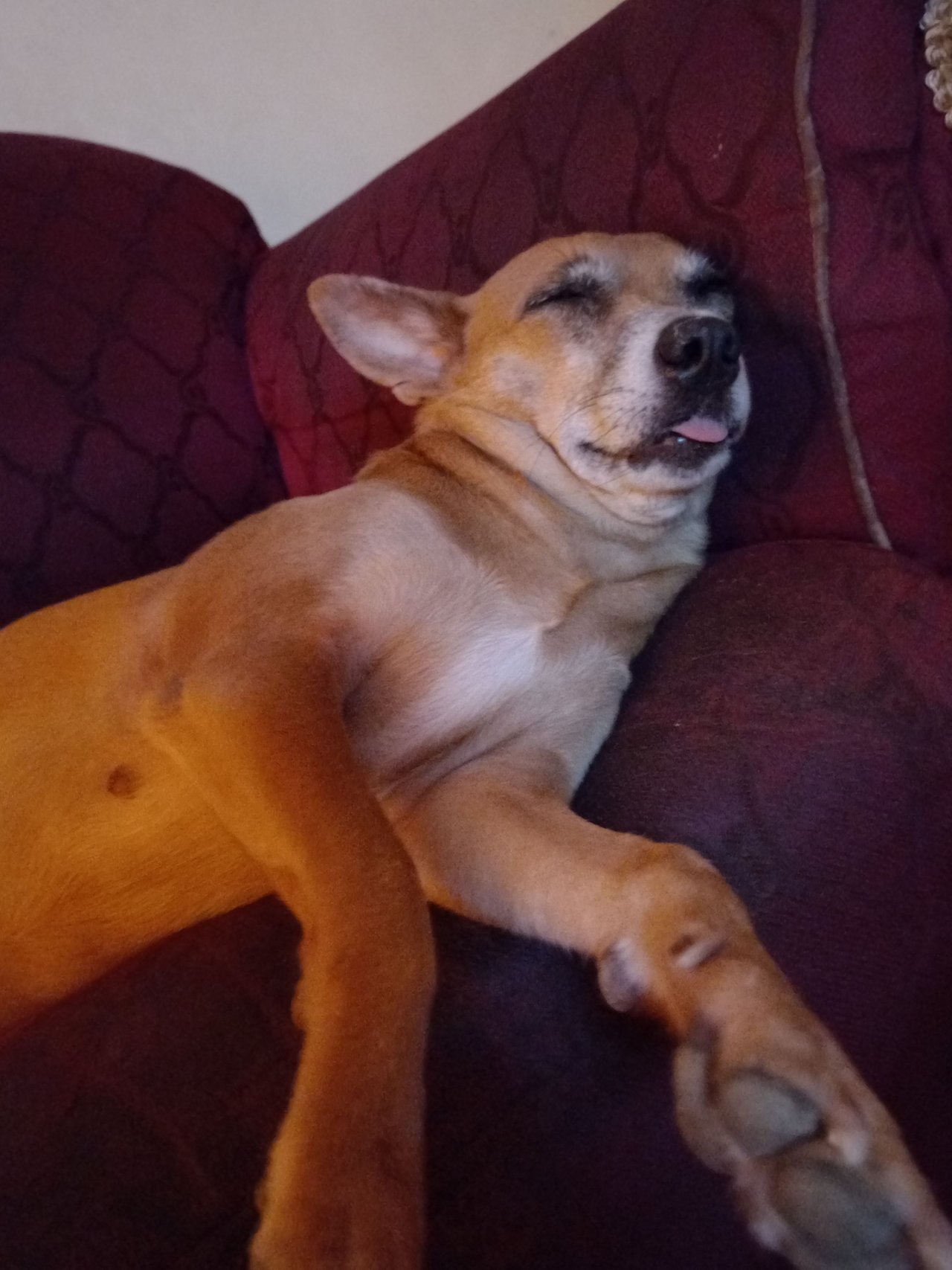23uQjyGpkviKN73DEoywbmHJyL2Nj2fEwhBHVfq8ZQKe5Zeb9xc5i1r1xiev3yZC6Vw1F.jpg