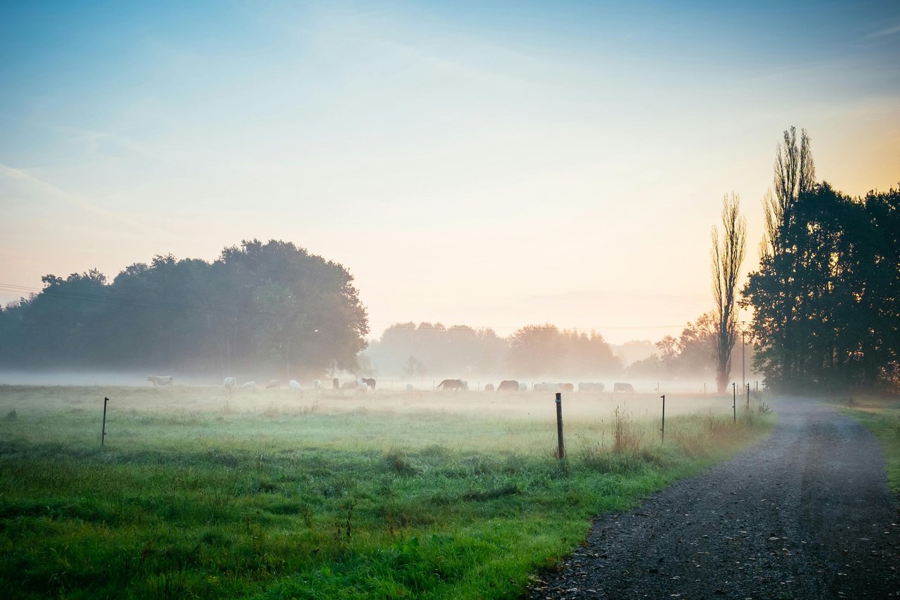 Tiny Rituals, Big Peace: How Early Mornings Keep Me Grounded