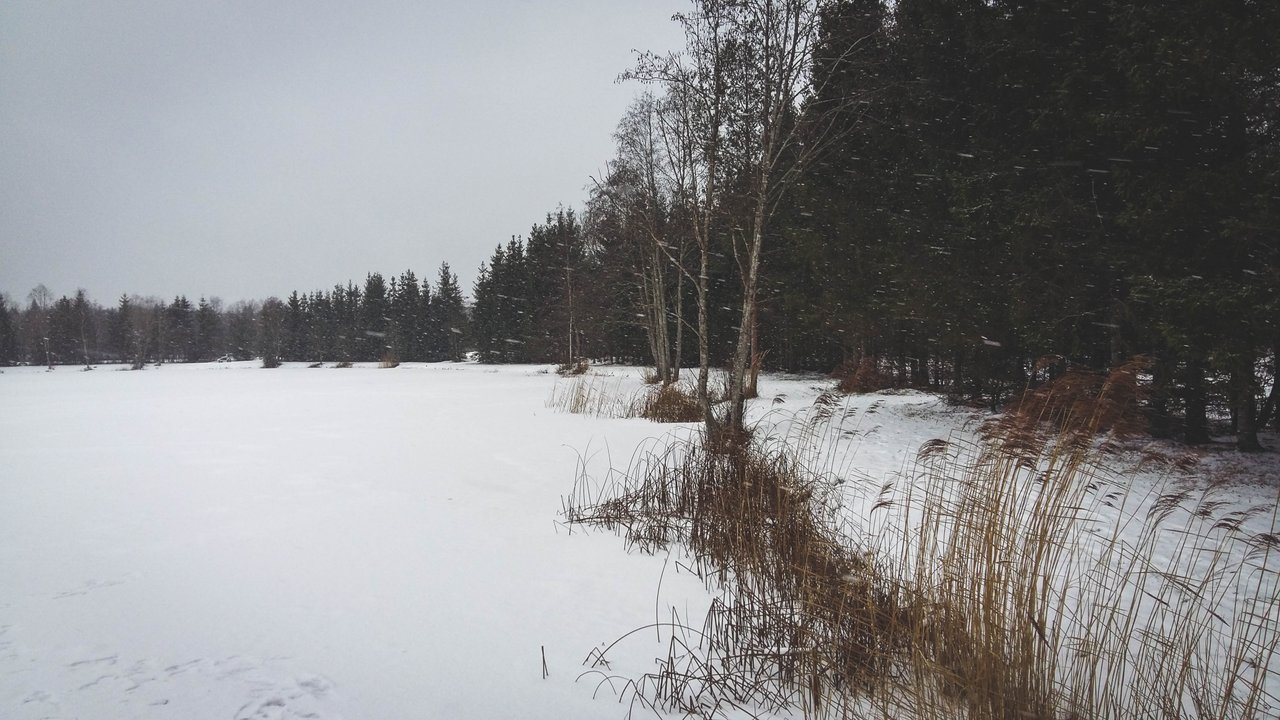 20210110_133459.jpg