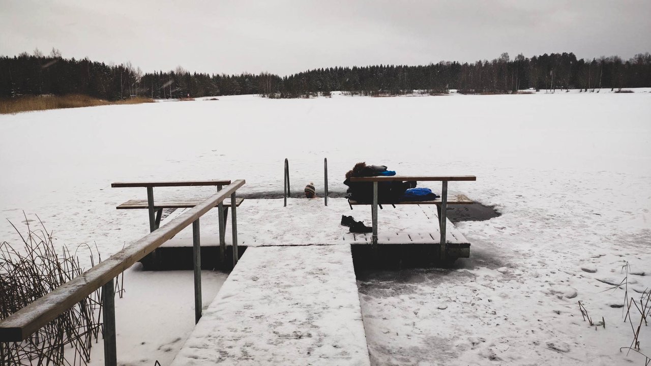swim1.jpg