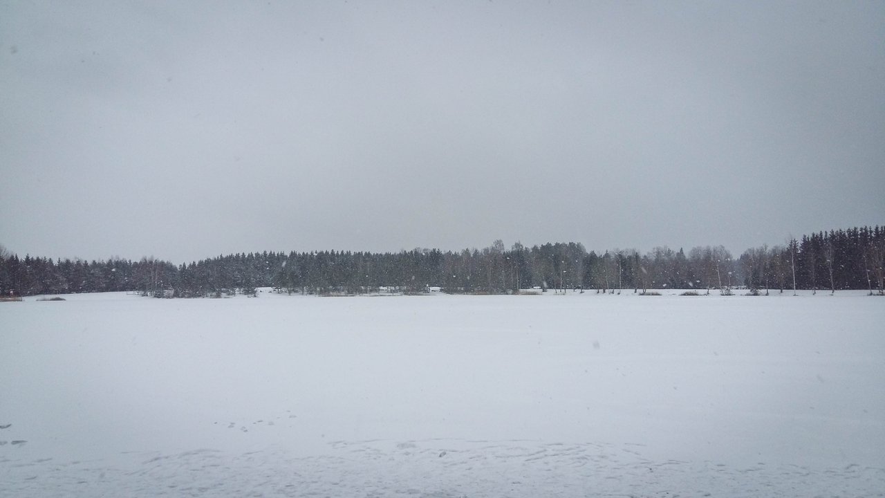 20210110_133503.jpg