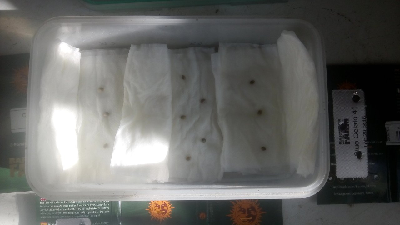 IMG_20201028_160759.jpg