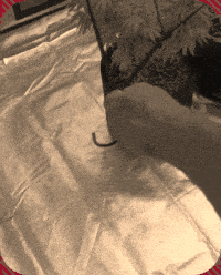 20230818_220920.gif
