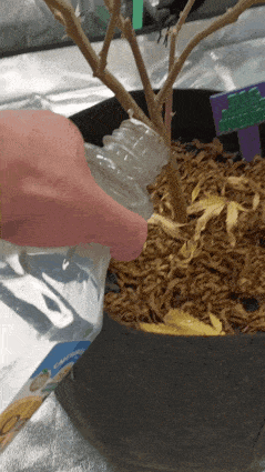 20230922_211528.gif